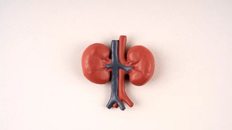 Doença renal crônica: por que poucos pacientes fazem diálise peritoneal?