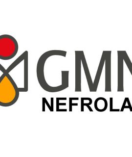 LOGOMARCA – GMN