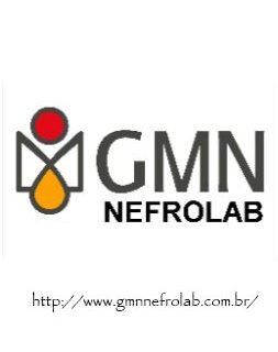 LOGOMARCA—GMN—reduzida